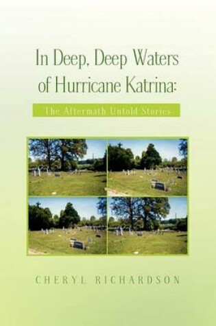 Cover of In Deep, Deep Waters of Hurricane Katrina