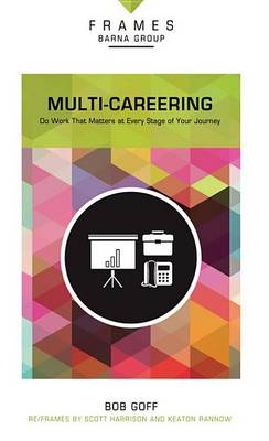 Book cover for Multi-Careering, Paperback (Frames Series)