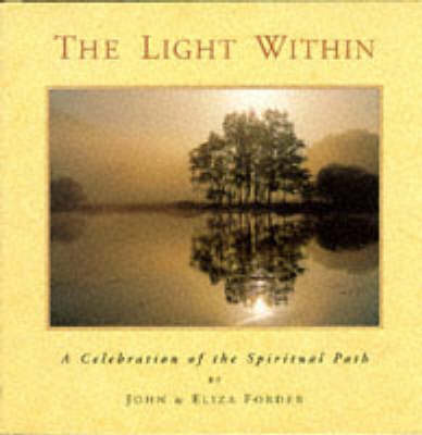 Book cover for Light within