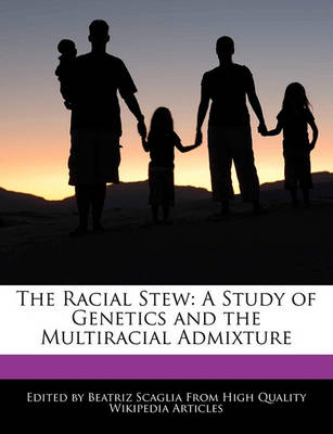 Book cover for The Racial Stew