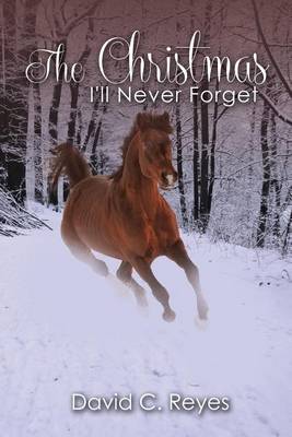 Book cover for The Christmas I'll Never Forget
