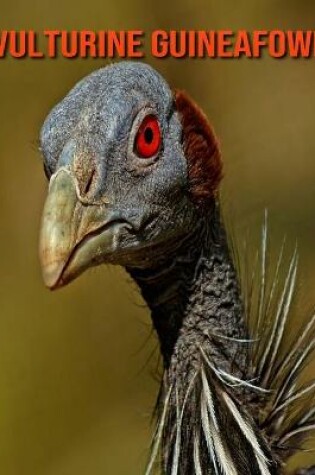 Cover of Vulturine Guineafowl
