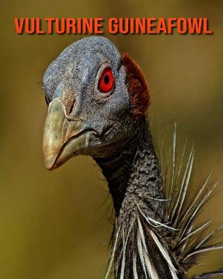 Book cover for Vulturine Guineafowl