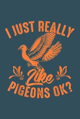 Book cover for I just really like pigeons OK