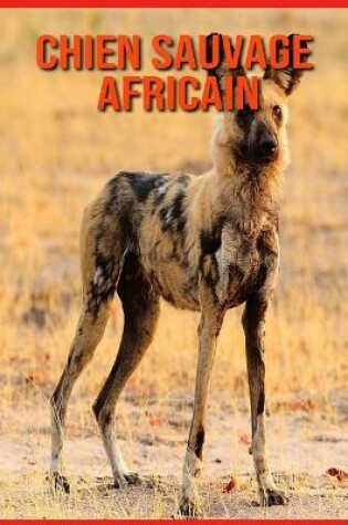 Cover of Chien Sauvage Africain