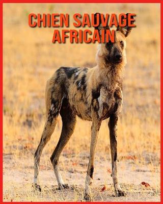 Book cover for Chien Sauvage Africain