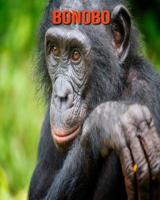 Book cover for Bonobo
