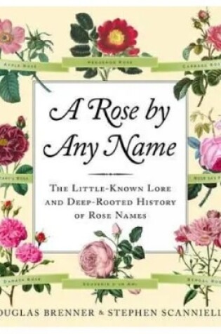 Cover of A Rose by Any Name