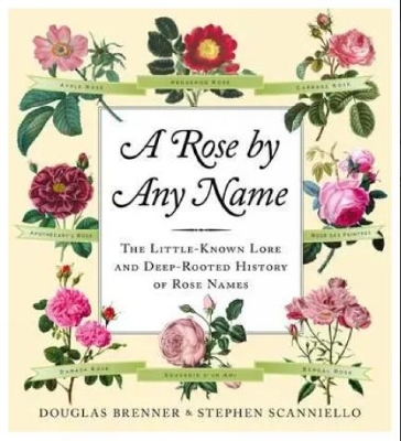 Book cover for A Rose by Any Name