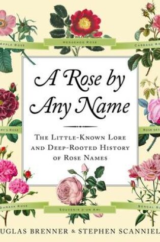 Cover of A Rose by Any Name