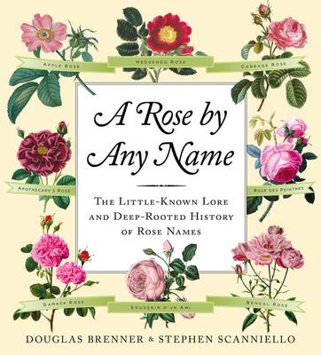 Book cover for A Rose by Any Name