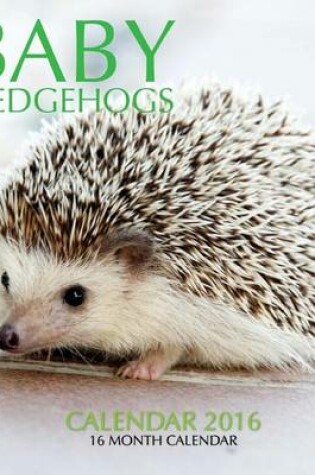 Cover of Baby Hedgehogs Calendar 2016
