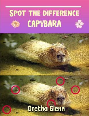 Book cover for Spot the difference Capybara
