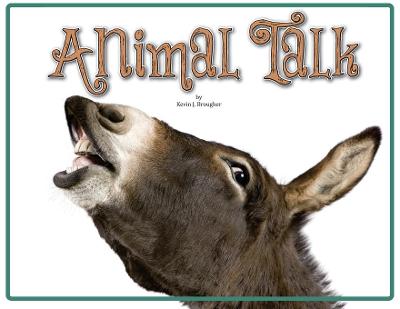 Book cover for Animal Talk