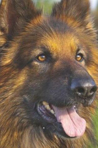 Cover of German Shepherd 2021 Wall Calendar