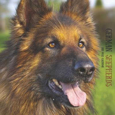 Book cover for German Shepherd 2021 Wall Calendar