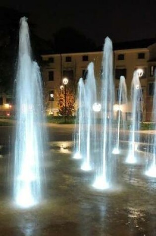 Cover of A Fountain in the City Center of Verona, Italy