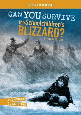 Book cover for Disasters in History: Can You Survive The Schoolchildren's Blizzard
