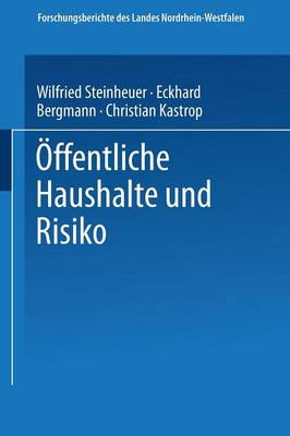 Book cover for Öffentliche Haushalte und Risiko