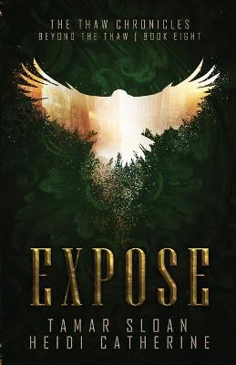 Book cover for Expose, Book 8, The Thaw Chronicles