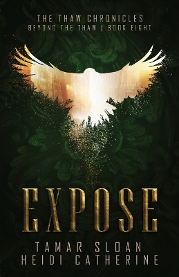 Book cover for Expose