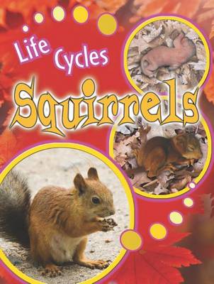 Cover of Squirrels