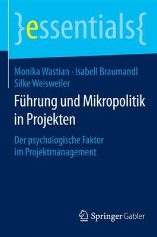 Cover of Führung und Mikropolitik in Projekten