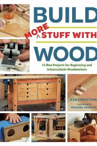 Cover of Build More Stuff With Wood