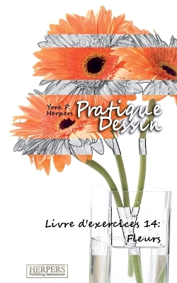 Book cover for Pratique Dessin - Livre d'exercices 14
