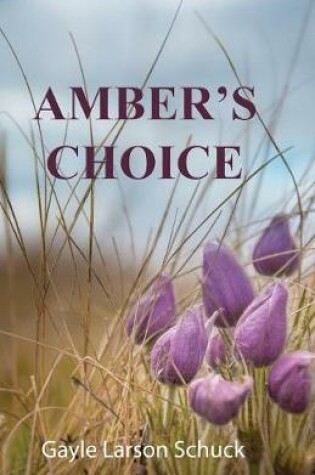 Cover of Amber's Choice