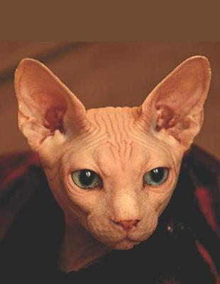 Book cover for Sphynx Hairless Cat Lovers Journal