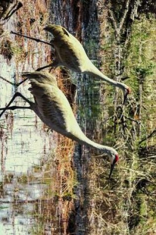 Cover of A Pair of Red Cranes in Punta Gorda Florida