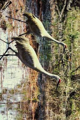 Book cover for A Pair of Red Cranes in Punta Gorda Florida