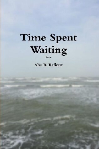 Cover of Time Spent Waiting