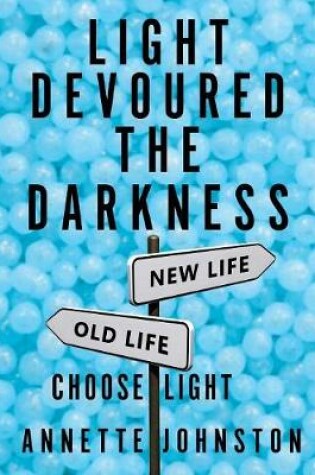 Cover of Light Devoured the Darkness