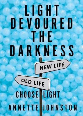 Book cover for Light Devoured the Darkness