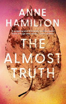 Book cover for The Almost Truth