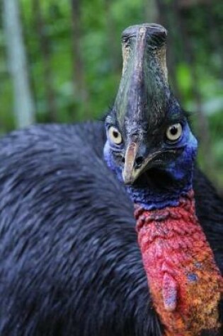 Cover of Irritated Cassowary Sees You! Bird Journal