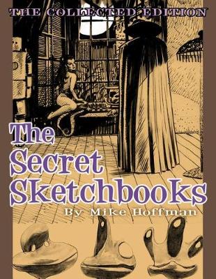 Book cover for The Secret Sketchbooks
