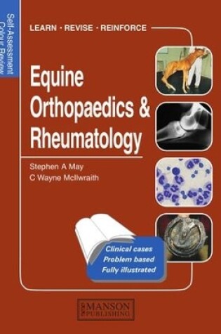 Cover of Equine Orthopaedics and Rheumatology