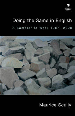 Book cover for Doing the Same in English