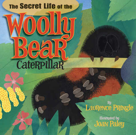 Book cover for The Secret Life of the Woolly Bear Caterpillar