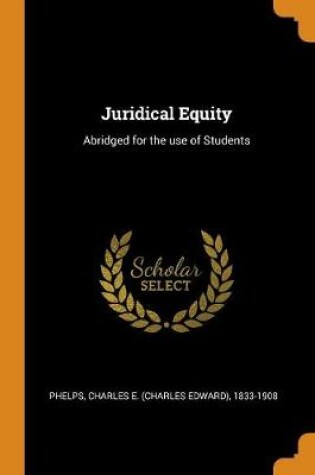 Cover of Juridical Equity