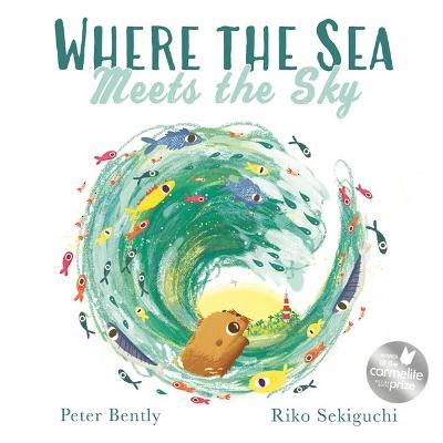 Book cover for Where the Sea Meets the Sky