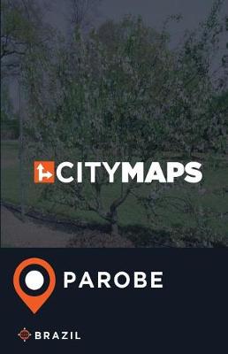 Book cover for City Maps Parobe Brazil