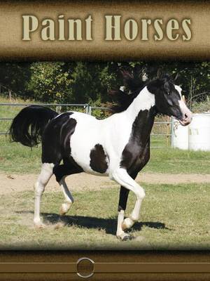 Book cover for Paint Horses