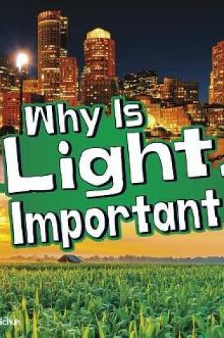 Cover of Why is Light Important? (Lets Look at Light)