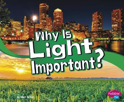 Book cover for Why is Light Important? (Lets Look at Light)