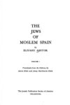 Book cover for Jews of Moslem Spain VI