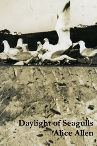 Cover of Daylight of Seagulls